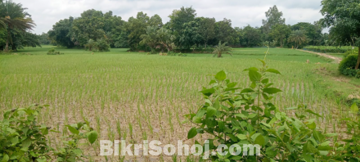 জমি বিক্রি হবে। Land sell